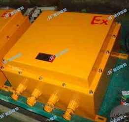 防爆接線(xiàn)箱優(yōu)選供應(yīng)商 瑞安市恒安電氣有限責(zé)任公司